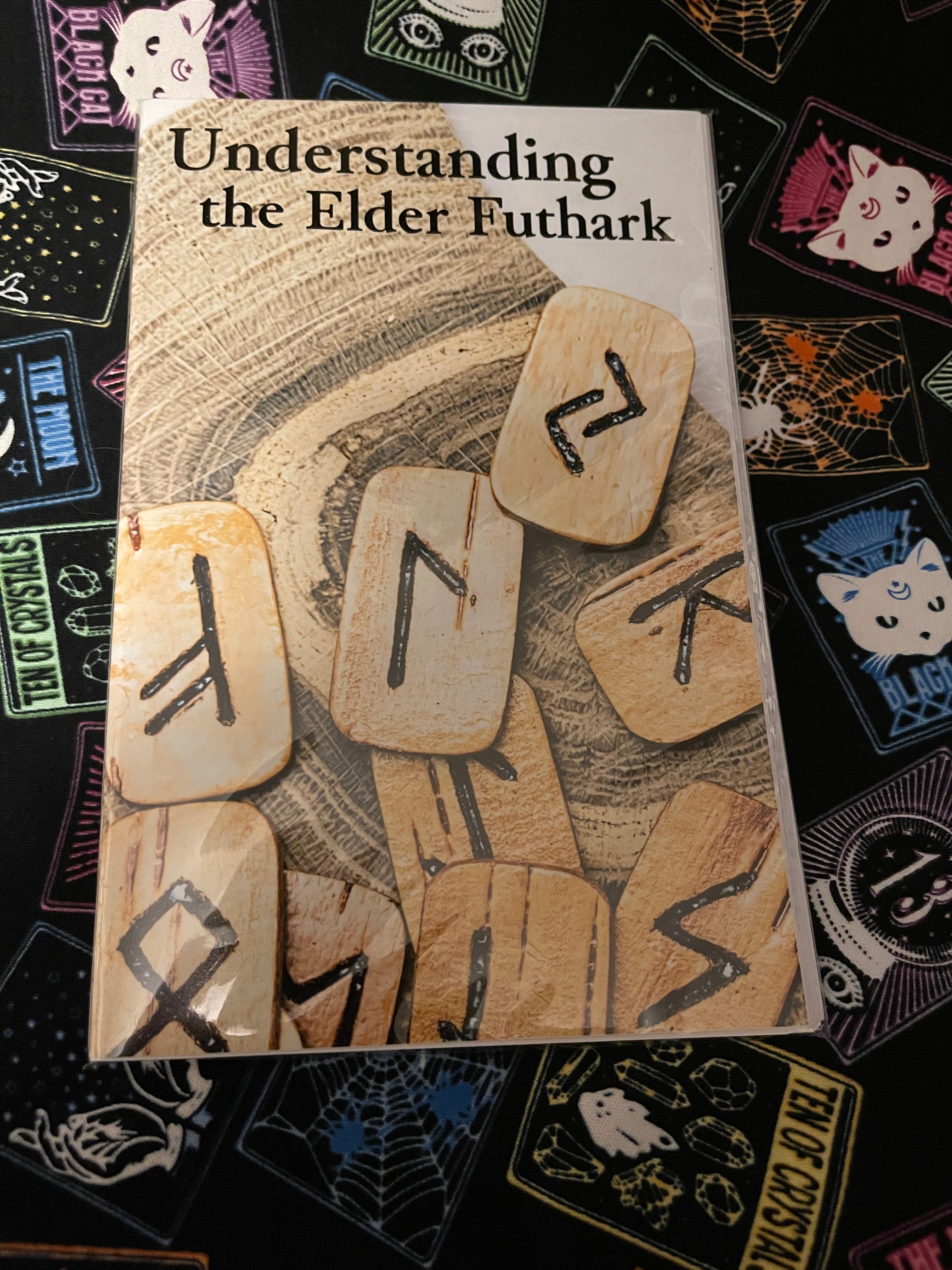 Understanding The Elder Futhark Book